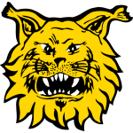 Ilves